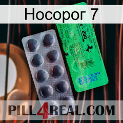 Носорог 7 new04